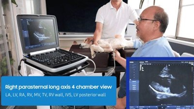 Samsung Ultrasound Systems with Remote Sonography: A Game-Changer for Veterinary Practices