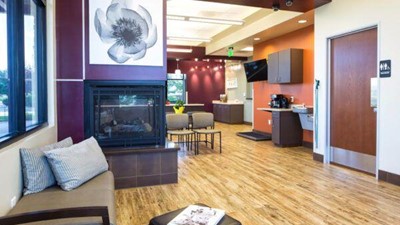 Veterinary Hospital Design Trends – The Freshest Ideas from Around the World